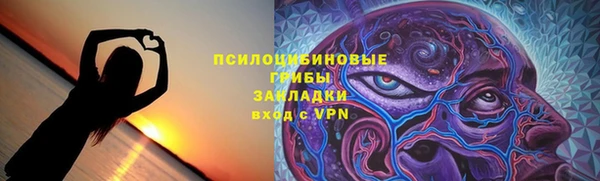 амф Арсеньев