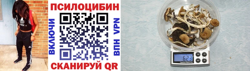 Галлюциногенные грибы Psilocybine cubensis  Лихославль 
